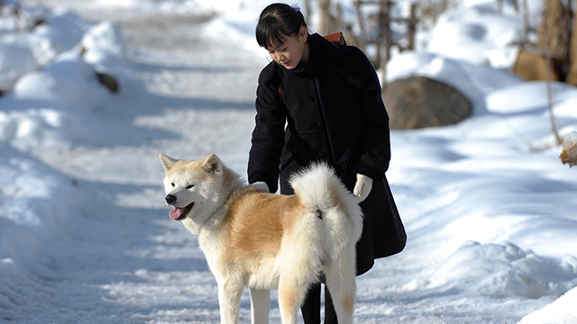 スノープリンス 禁じられた恋のメロディ Wowowプラス 映画 ドラマ スポーツ 音楽