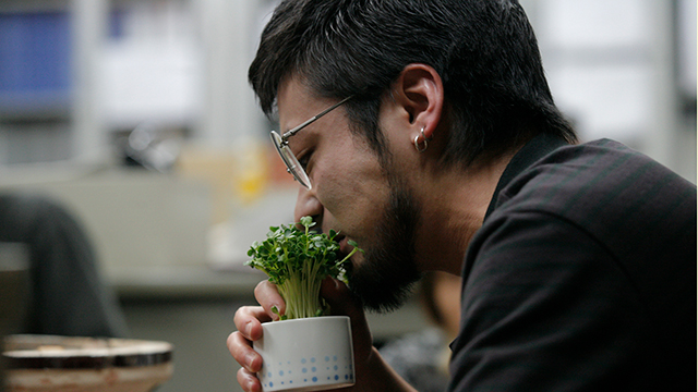 闇金ウシジマくん（全9話）