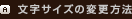 文字サイズの変更方法