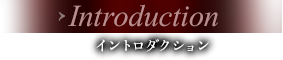 Introduction Cg_NV