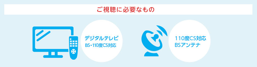 ご視聴に必要なもの デジタルテレビBS・110度CS対応 110度CS対応 BSアンテナ