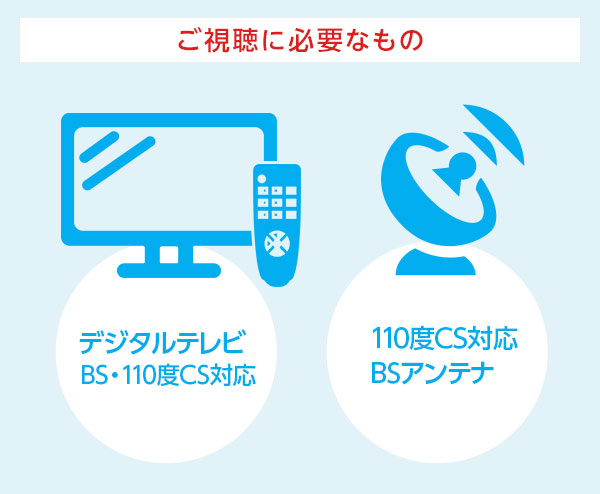 ご視聴に必要なもの デジタルテレビBS・110度CS対応 110度CS対応 BSアンテナ