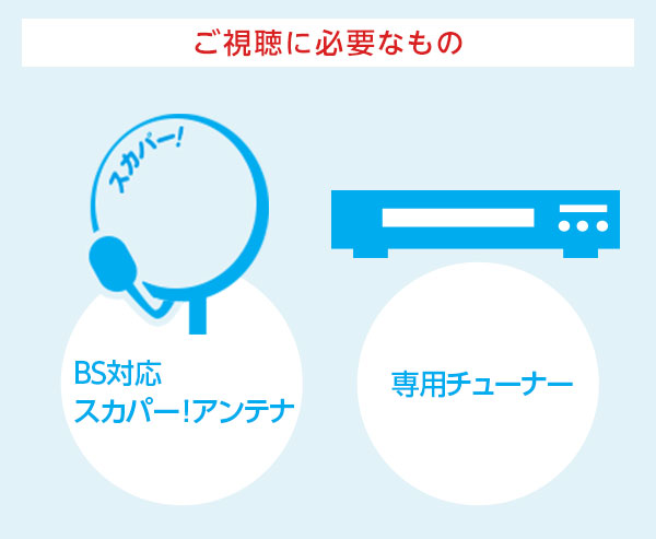 ご視聴に必要なもの