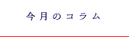 今月のコラム